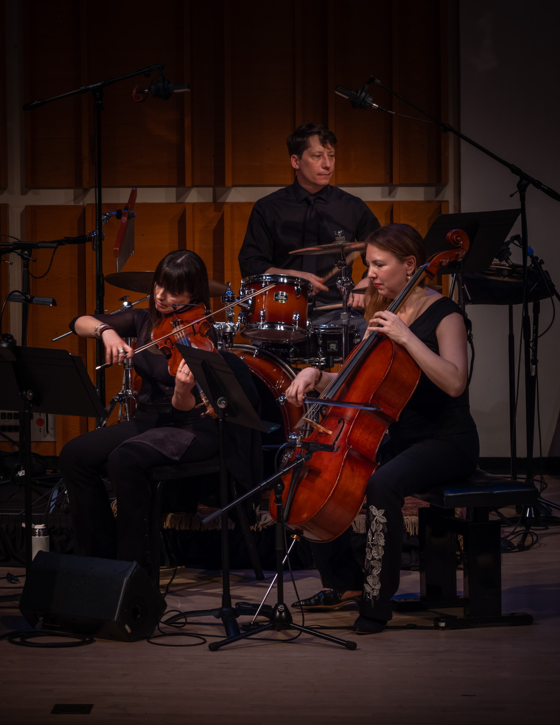 Concert photo 17